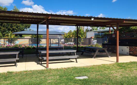 20250408_141555_resized_1