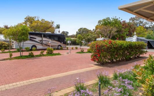 FB_IMG_1678854234874